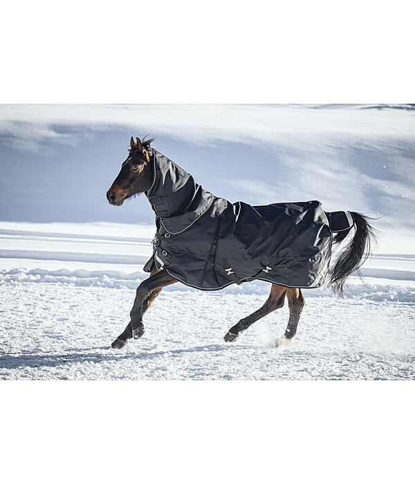 Regular Neck Turnout Rug Liberty II with Liner System, 0g