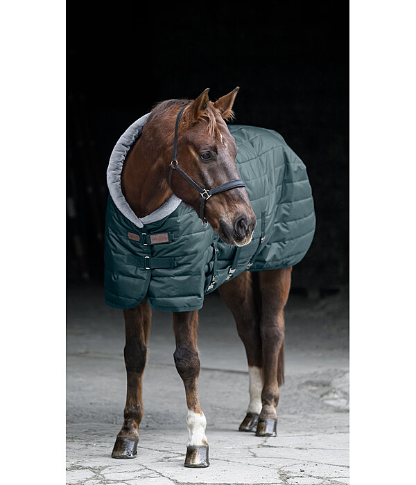 Stable Rug Stay Cozy