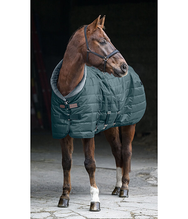 Stable Rug Stay Cozy