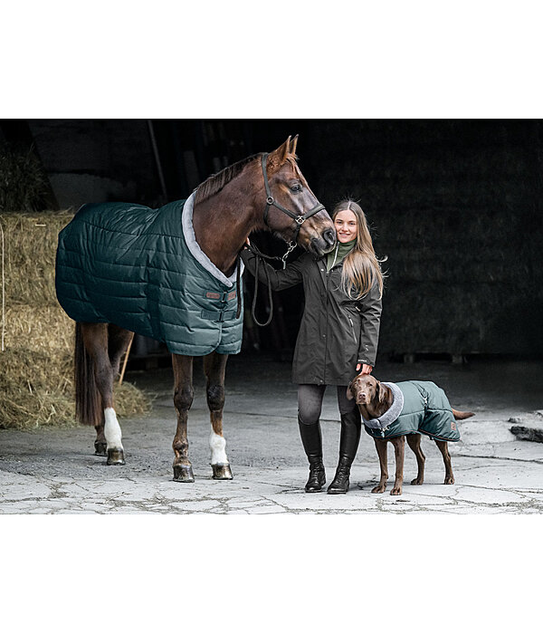 Stable Rug Stay Cozy