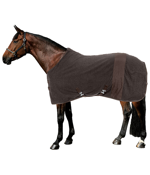 Collection Rug Teddy