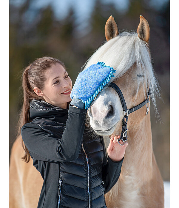 Chenille Microfibre Grooming Mitt