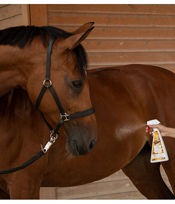 Horse Deodorant Orange Walnut