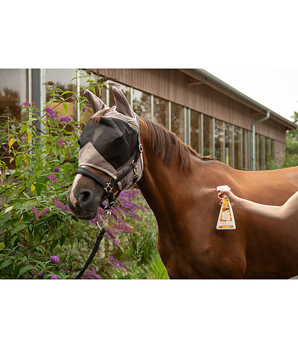 Horse Deodorant Orange Walnut