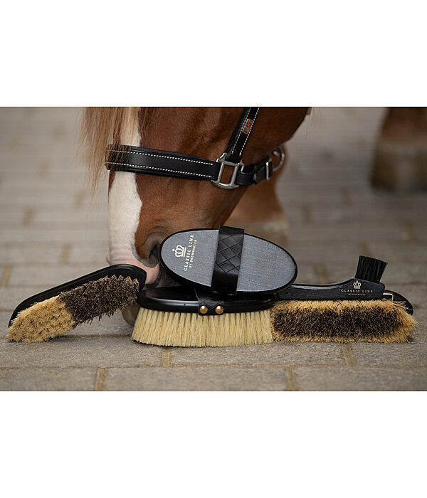 Hoof Pick