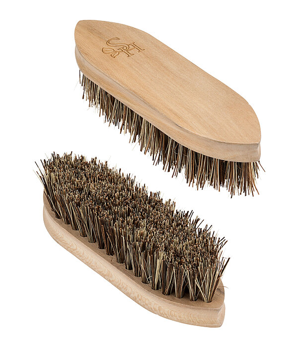 Dandy Brush Flora