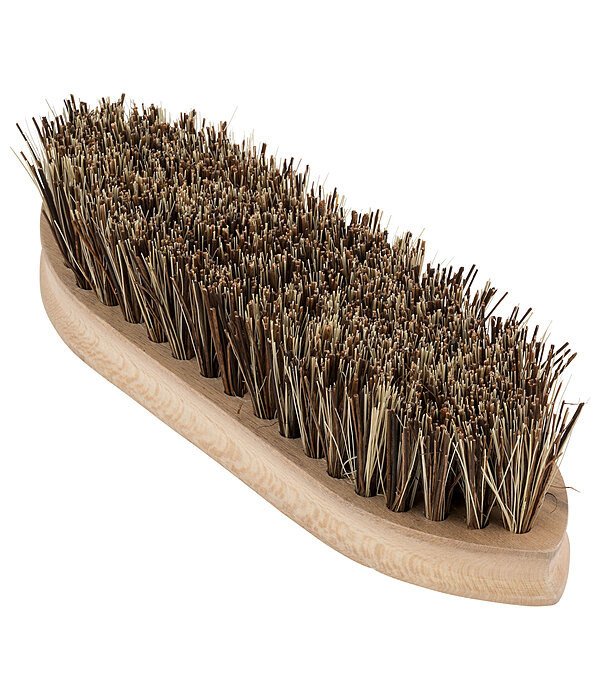 Dandy Brush Flora