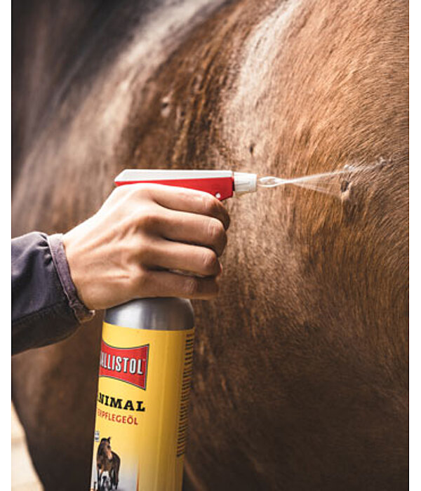 Spray Bottle