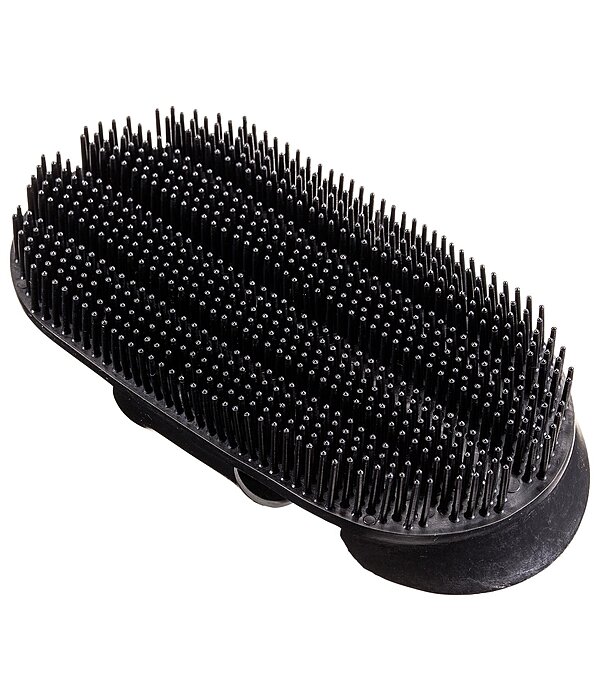 Curry Comb