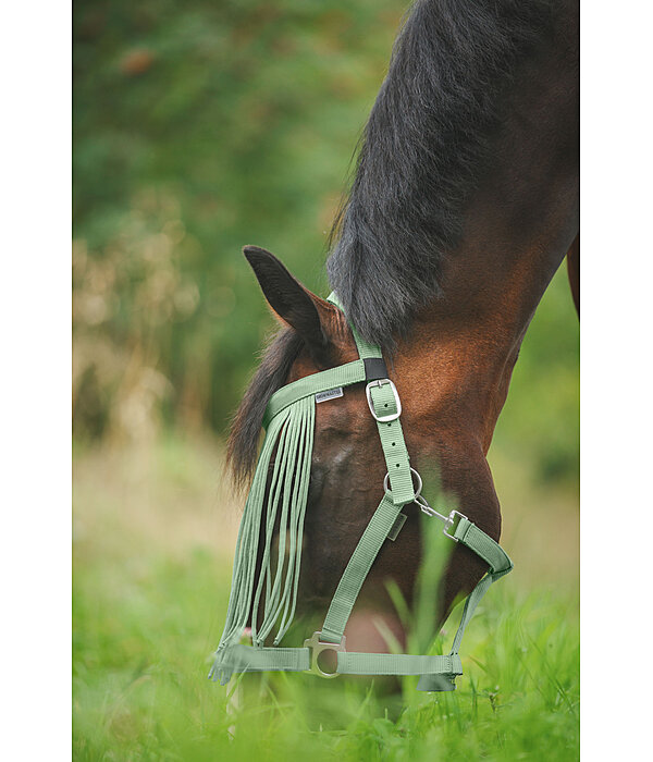 Fly Fringes Super Price