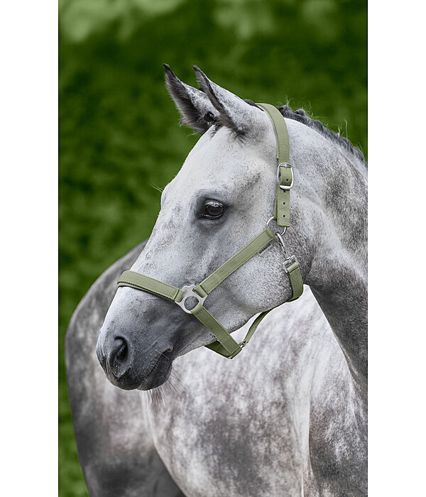 Headcollar Super Price ll