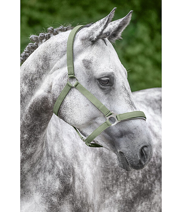 Headcollar Super Price ll