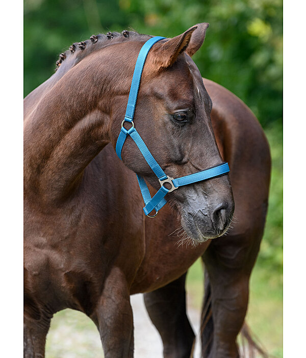 Headcollar Super Price ll