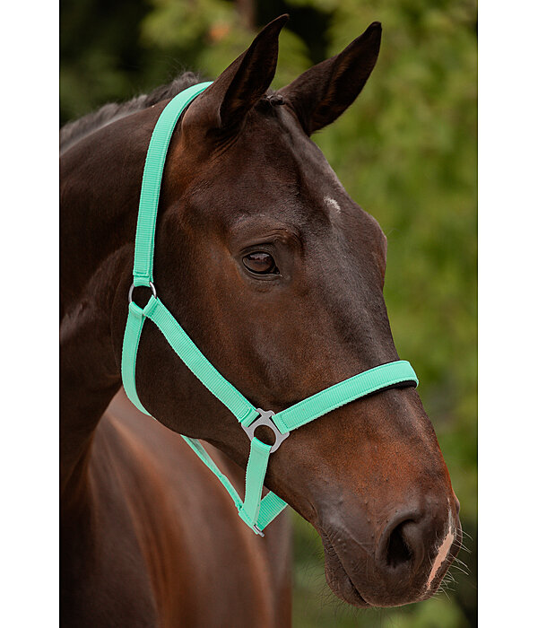 Headcollar Super Price ll