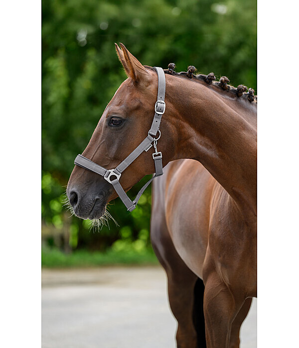 Headcollar Super Price ll