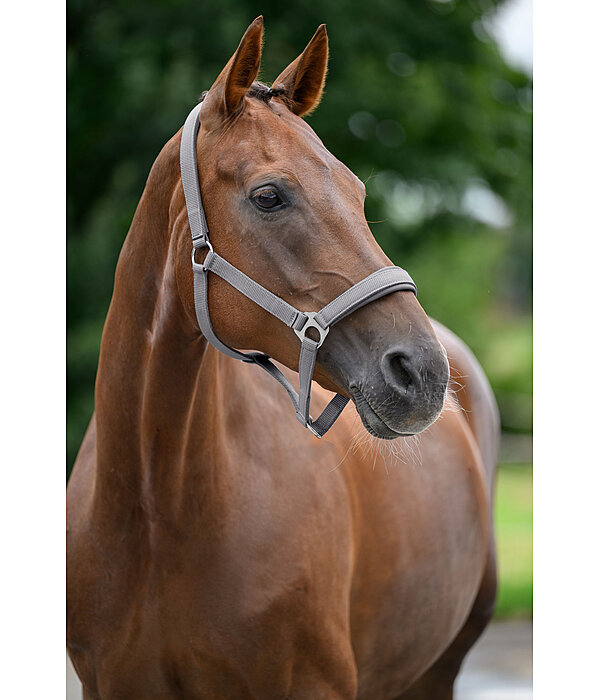 Headcollar Super Price ll