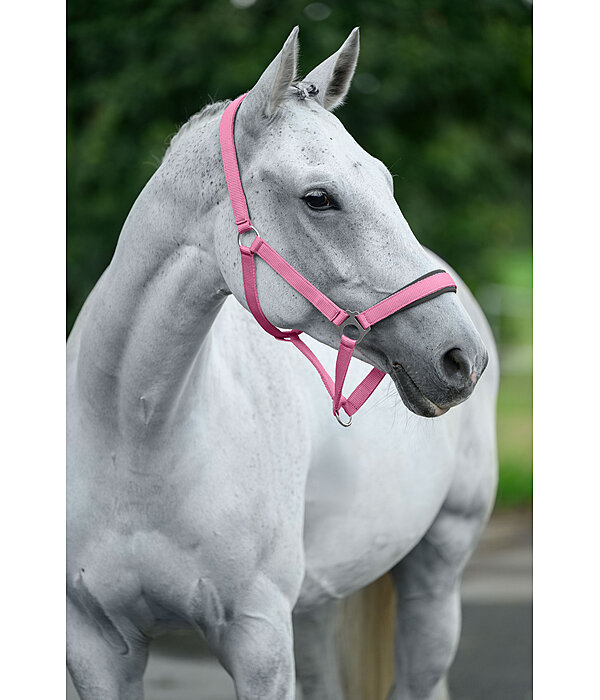 Headcollar Super Price ll