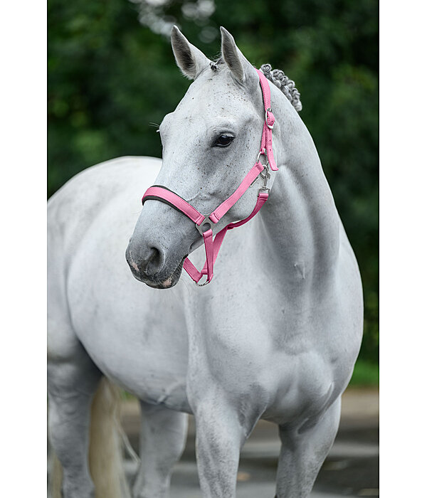 Headcollar Super Price ll