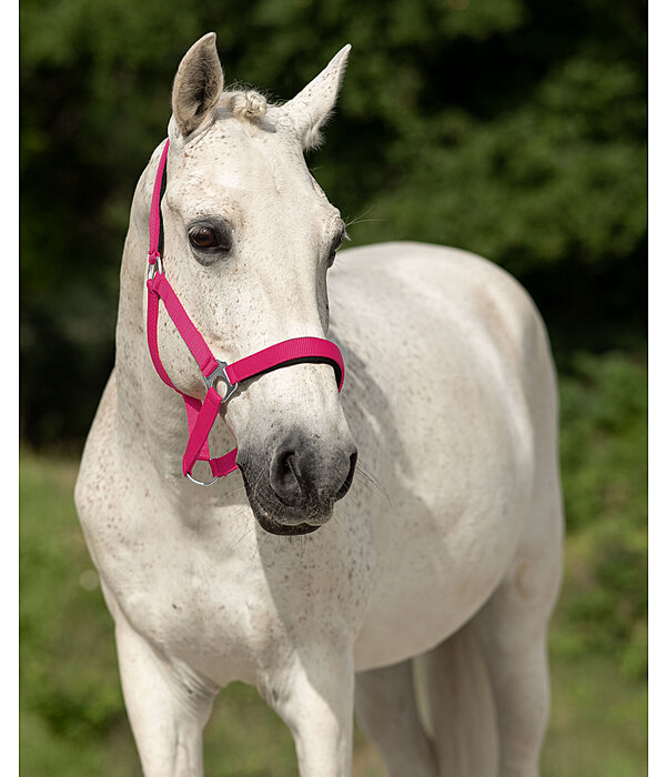 Headcollar Super Price ll