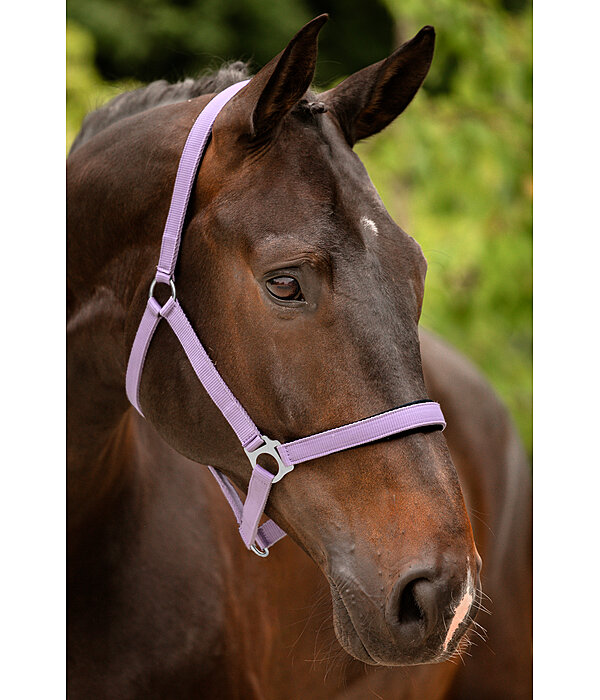 Headcollar Super Price ll