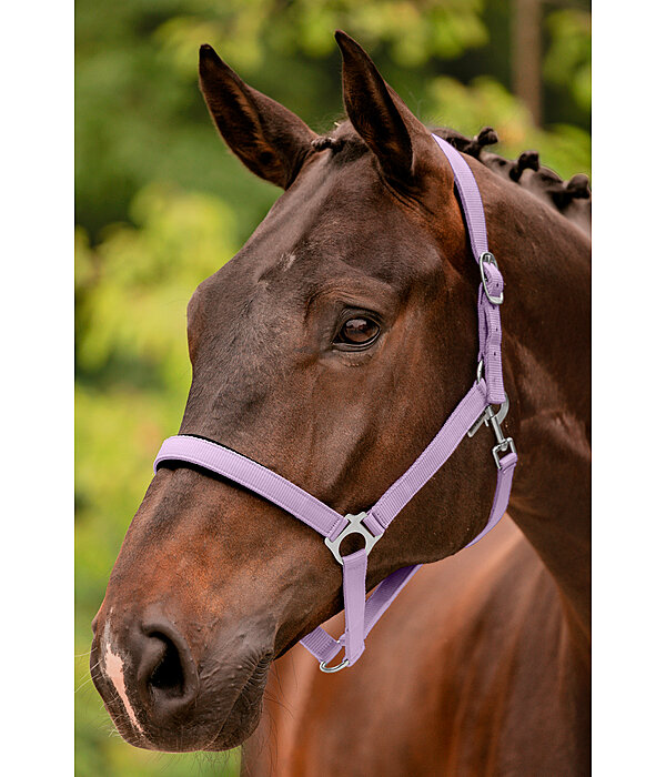 Headcollar Super Price ll