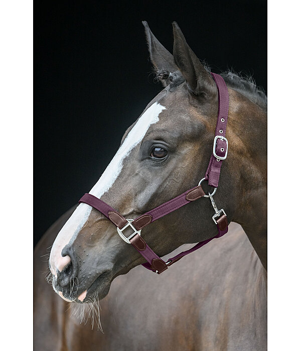 Headcollar Kate