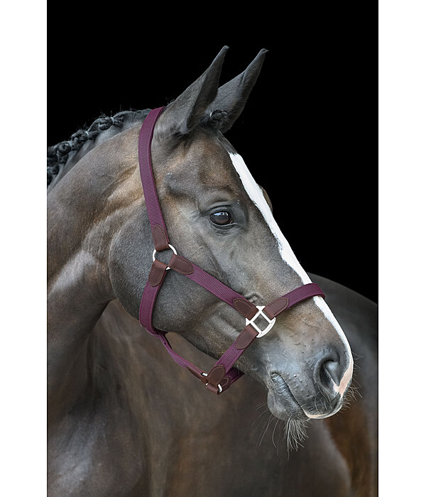 Headcollar Kate