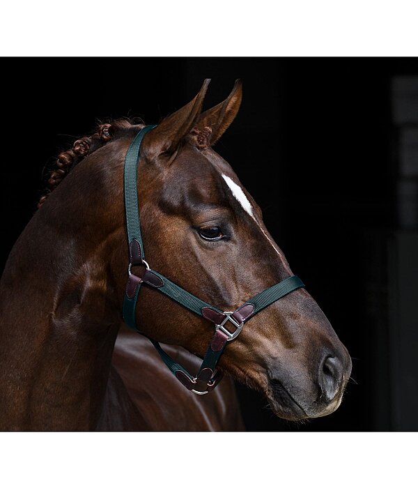 Headcollar Kate