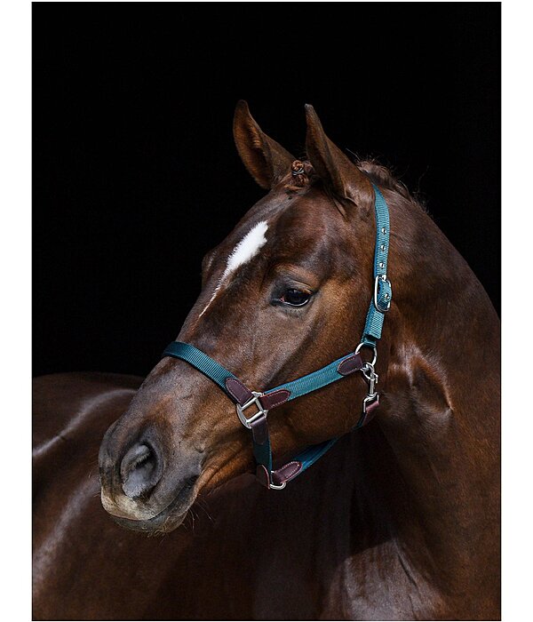 Headcollar Kate