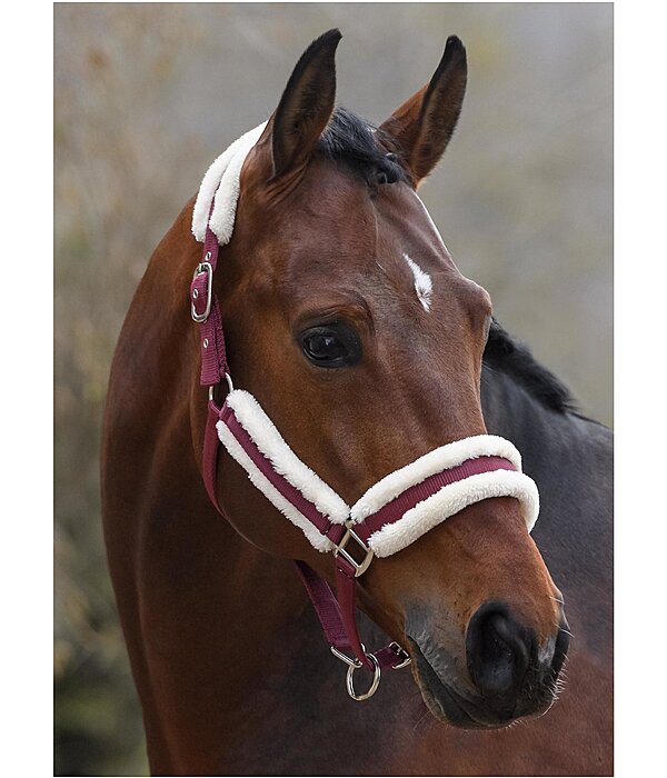 Headcollar Cosy