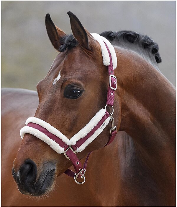 Headcollar Cosy