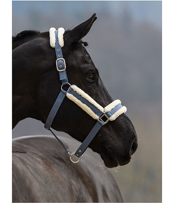 Headcollar Cosy