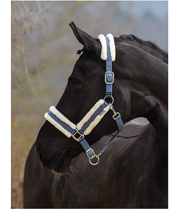 Headcollar Cosy