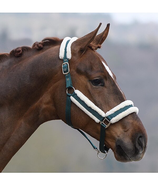 Headcollar Cosy