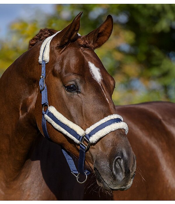 Headcollar Cosy