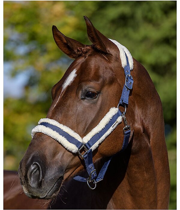 Headcollar Cosy