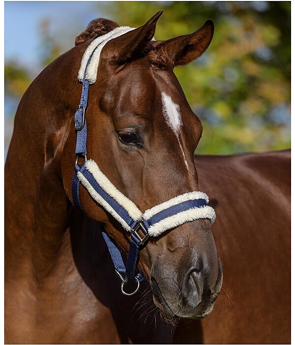 Headcollar Cosy