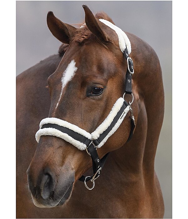 Headcollar Cosy