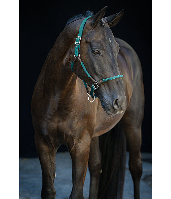 Headcollar Meghan