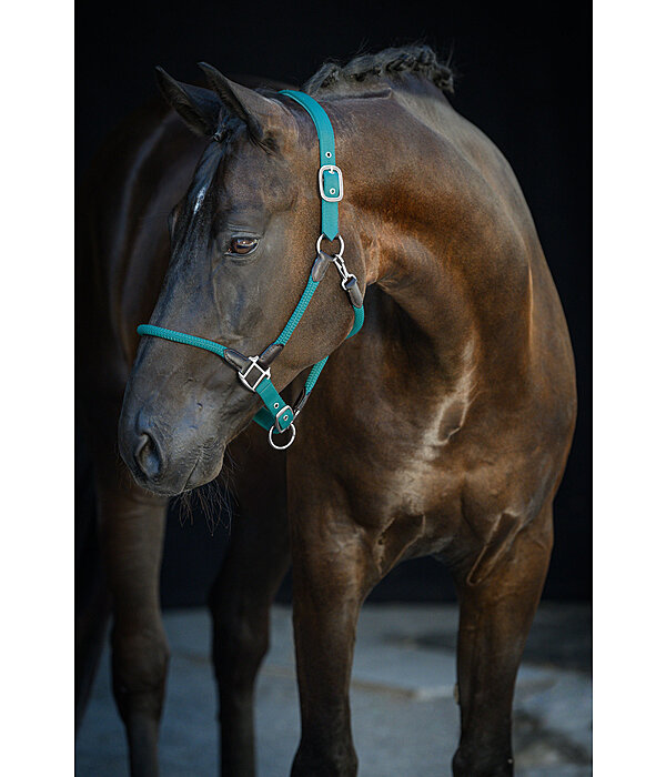 Headcollar Meghan