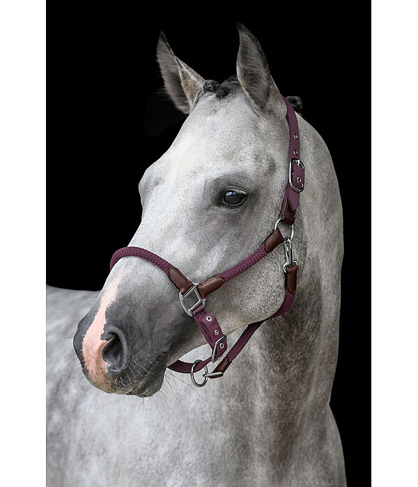Headcollar Meghan