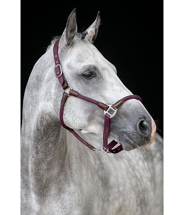 Headcollar Meghan