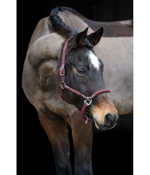 Headcollar Meghan