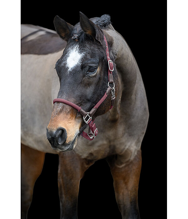 Headcollar Meghan