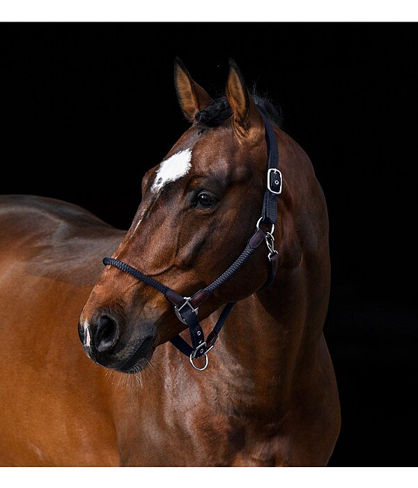 Headcollar Meghan