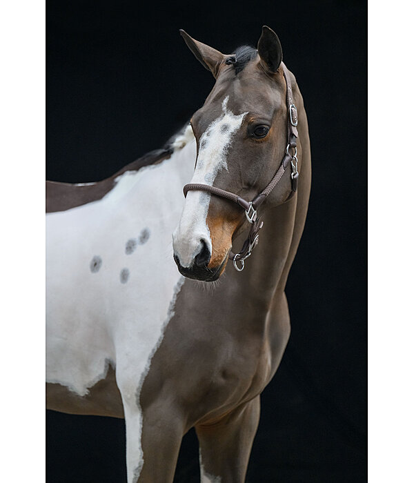 Headcollar Meghan