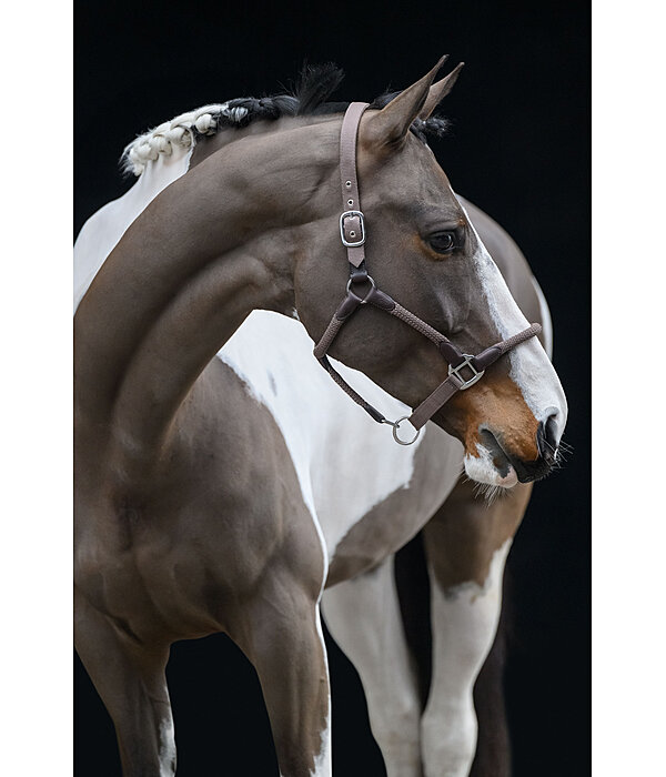Headcollar Meghan