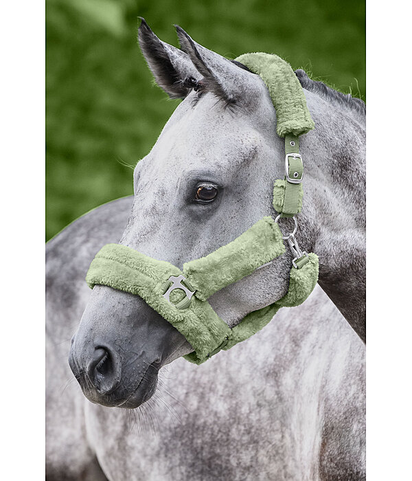 Teddy Fleece Headcollar Protection
