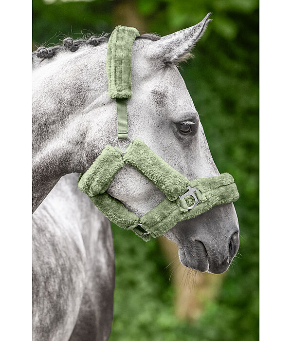 Teddy Fleece Headcollar Protection