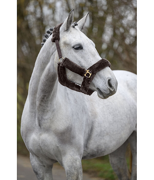 Teddy Fleece Headcollar Protection